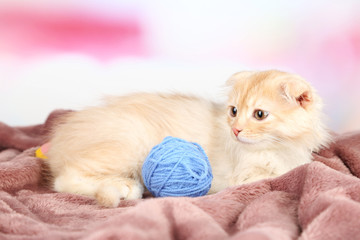 Fototapeta na wymiar Cute little Scottish fold kitten on plaid with skein of thread