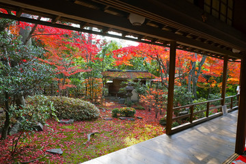 妙心寺　大法院の露地庭園