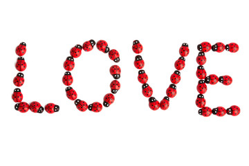 Love Marienk&auml;fern