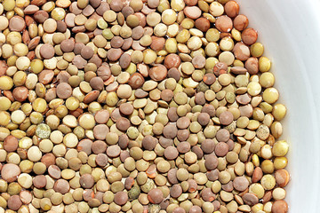 Lentils on a white ceramic plate