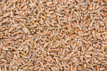 Spelt Background