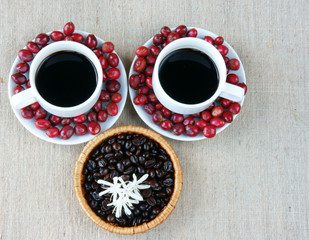 Harmony creative, coffee bean, cup of cafe,  ripe berries