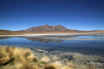 Scenic lagoon in Bolivia, South America (Laguna de Canapa)