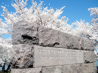 Washington Cherry Blossoms near Franklin Roosevelt Memorial 2010