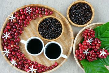 Collect of cafe, bean, cup of coffee, leaf, flower