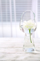 Beautiful white flower in vase with light from window