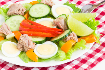 Salad with tuna end egg