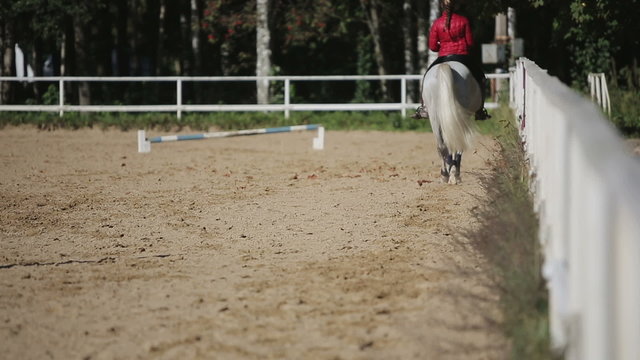 Woman trains horse