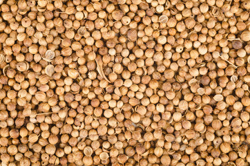 Coriander seeds