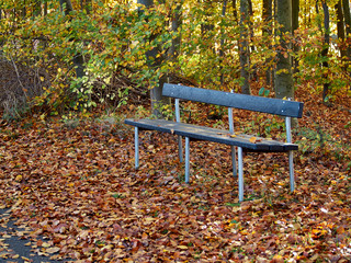 Beautiful garden park metal bench seating corner