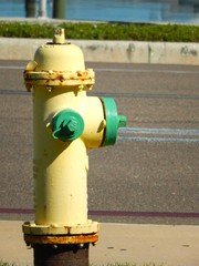 Yellow fire hydrant next