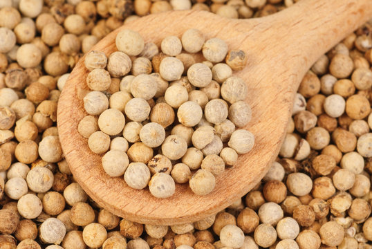 close up white pepper  and wooden spoon as background