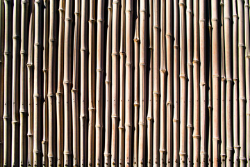 竹の壁