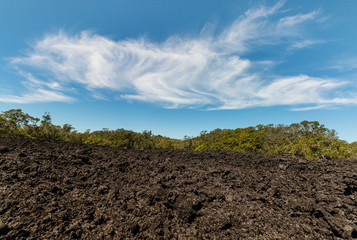 lava field on Rangitoto Island