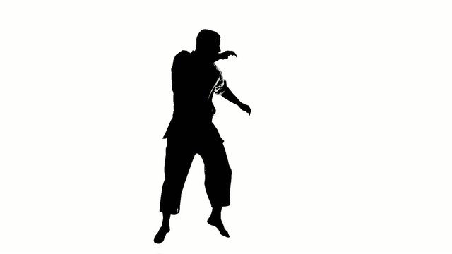 Silhouette of a karate man exercising against white background.