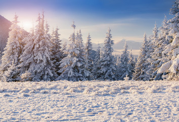 Beautiful winter morning in the mountains