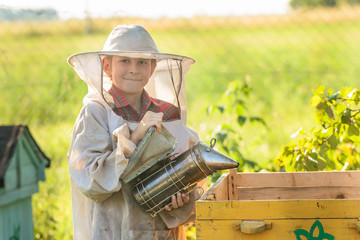 Young beekeeper working in apiary