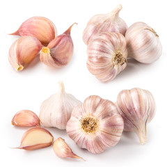 Garlic isolated on white background. Collection