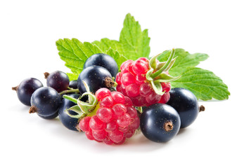 Black currant with raspberry isolated on white