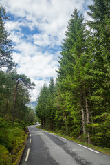 Fototapeta na wymiar Scenic winding road through green forest in Norway
