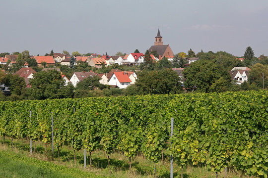 Essingen in der S&uuml;dpfalz