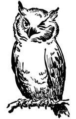 Winking Owl