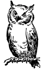 Printed roller blinds Owl Cartoons Winking Owl