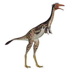 Obraz na płótnie Canvas Mononykus dinosaur standing - 3D render