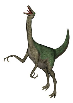 Gallimimus dinosaur roaring - 3D render