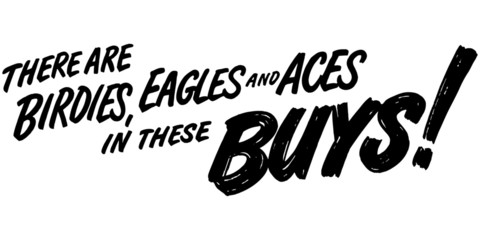 Fototapeta premium There Are Birdies And Eagles