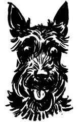 Scottie Dog