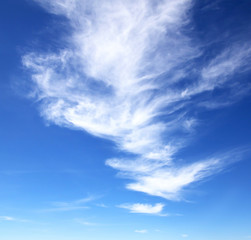 Sky with white clouds