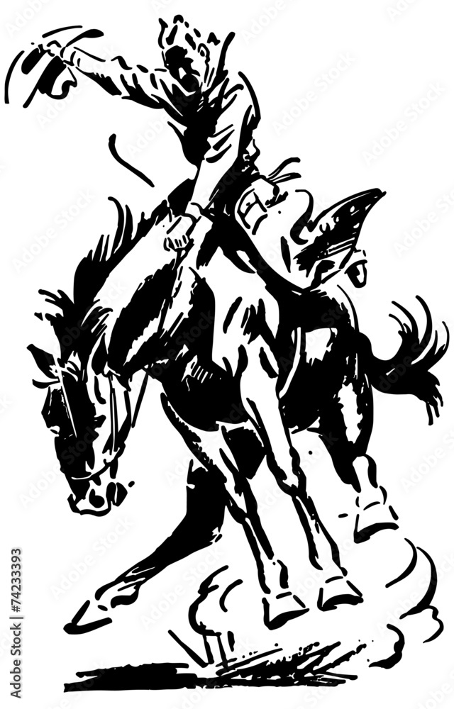 Wall mural Rodeo Rider