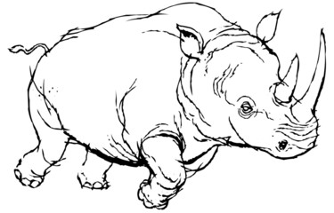 Rhino