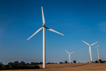 Wind turbines generating electricity