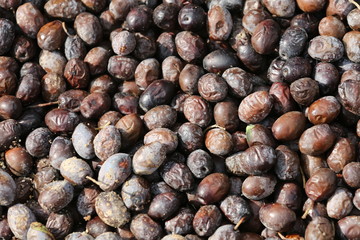 Olives background.