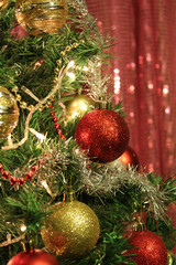 Decorated Christmas Tree