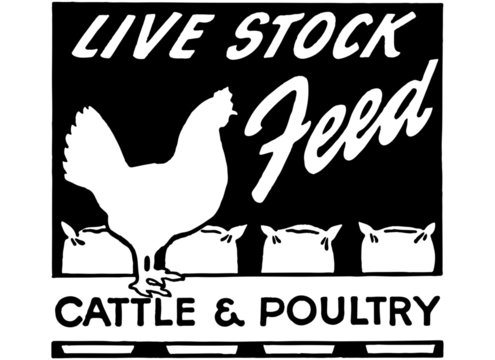 Live Stock Feed