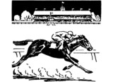 Horse Racing