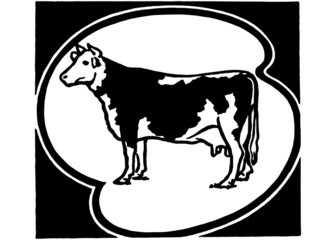 Holstein Cow