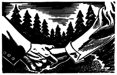 Holding Hands In Forest