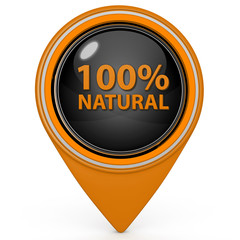 100% natural pointer icon on white background