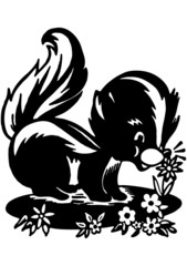 Cute Skunk