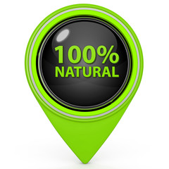 100% natural pointer icon on white background