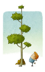 child looks at how a tree grows