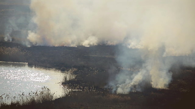 The fire and smoke disaster in the field near the river