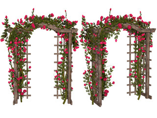 Romantic arbor with  pink  roses