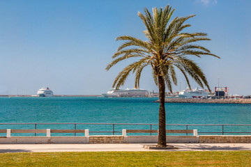 Mallorca embankment overlooking the cruise ships