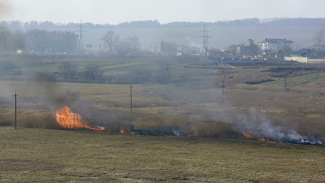 The fire and smoke disaster in the field. close up zoom view