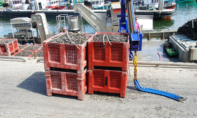 port de la turballe-loire-atlantique